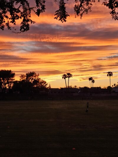 Woodglen Park - Mesa, AZ