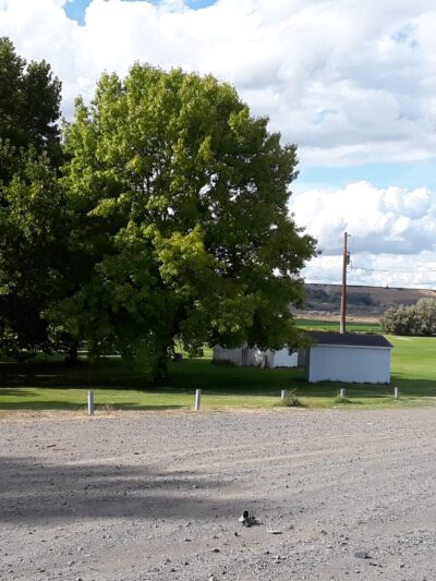 Basin City Memorial Park - Mesa, WA