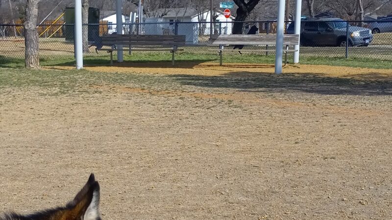 City of Mesquite Dog Park - Mesquite, TX
