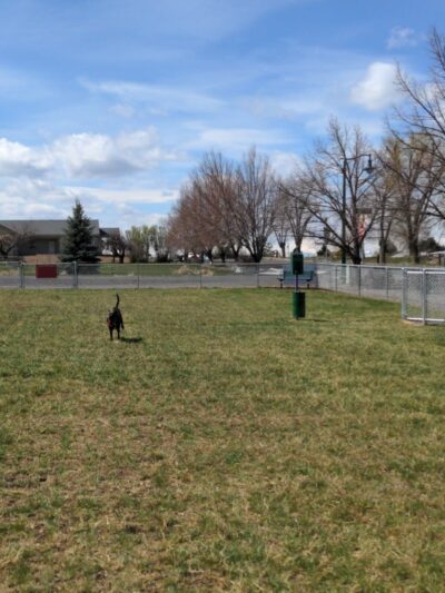Rails and Tails Dog Park - Metolius, OR