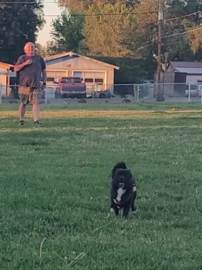 Rails and Tails Dog Park - Metolius, OR