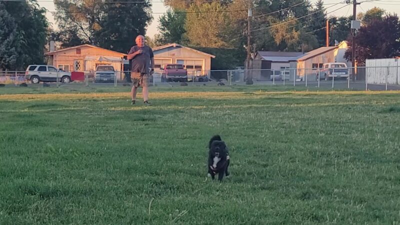 Rails and Tails Dog Park - Metolius, OR