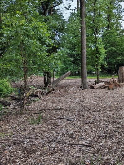 Centennial Park - Metuchen, NJ