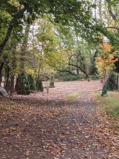 Centennial Park - Metuchen, NJ