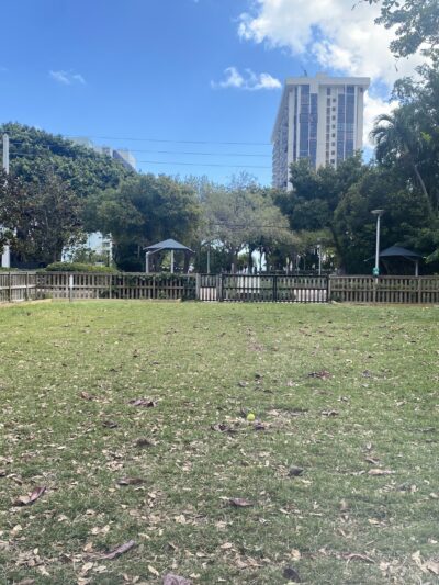 Dog park - Miami, FL