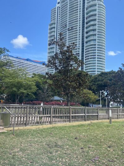 Dog park - Miami, FL