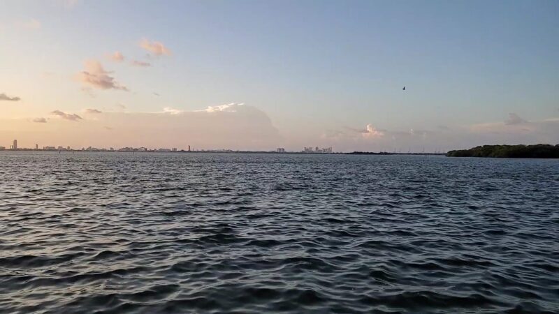 Baywood Park - Miami, FL