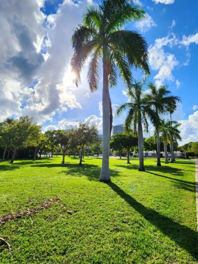 Baywood Park - Miami, FL