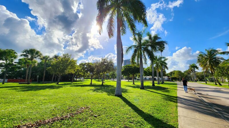 Baywood Park - Miami, FL