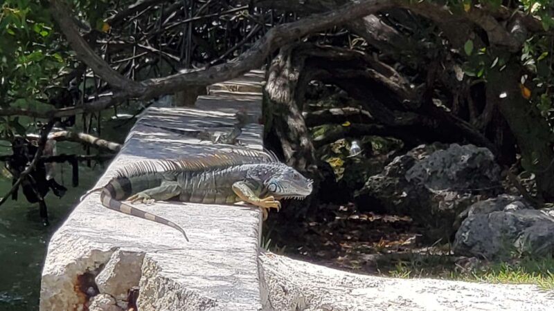 Baywood Park - Miami, FL