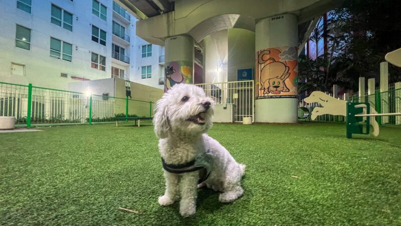 Biscuit’s Dog Park - Miami, FL