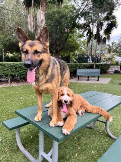 Blanche Park - Miami, FL