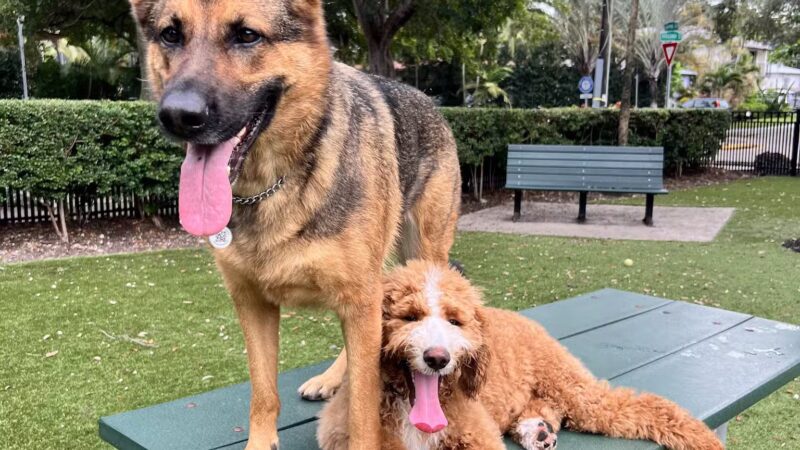 Blanche Park - Miami, FL