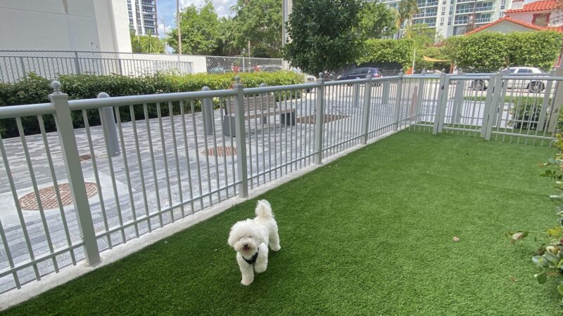 Canvas Dog Park - Miami, FL