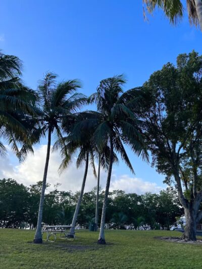 David T. Kennedy Park - Miami, FL