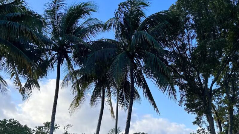 David T. Kennedy Park - Miami, FL