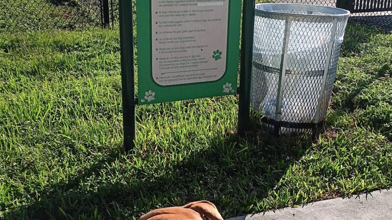 Dog Park - Miami, FL