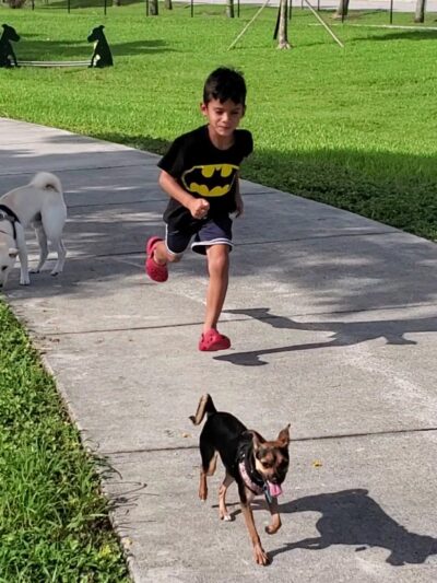 Dog Park - Miami, FL