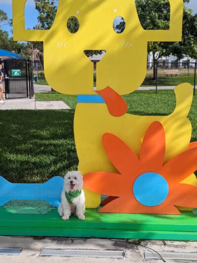 Dog Park - Miami, FL