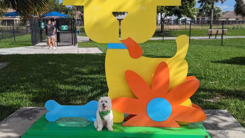 Dog Park - Miami, FL