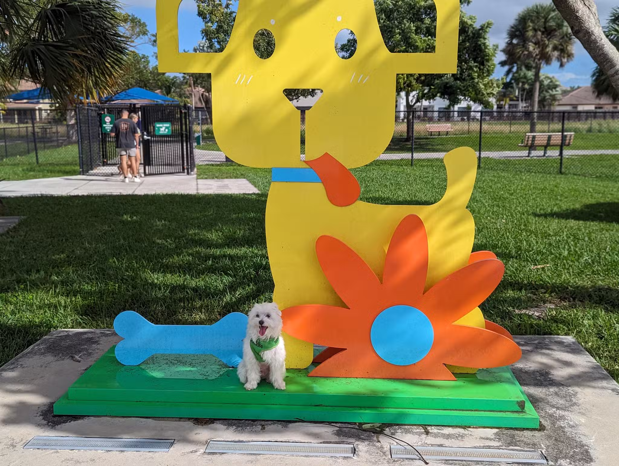 Dog Park - Miami, FL