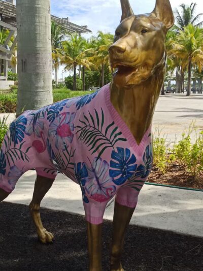 Dog Park - Miami, FL