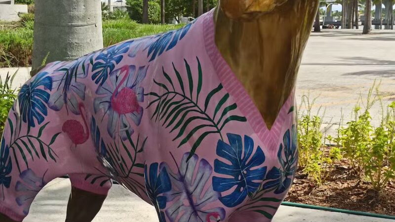 Dog Park - Miami, FL