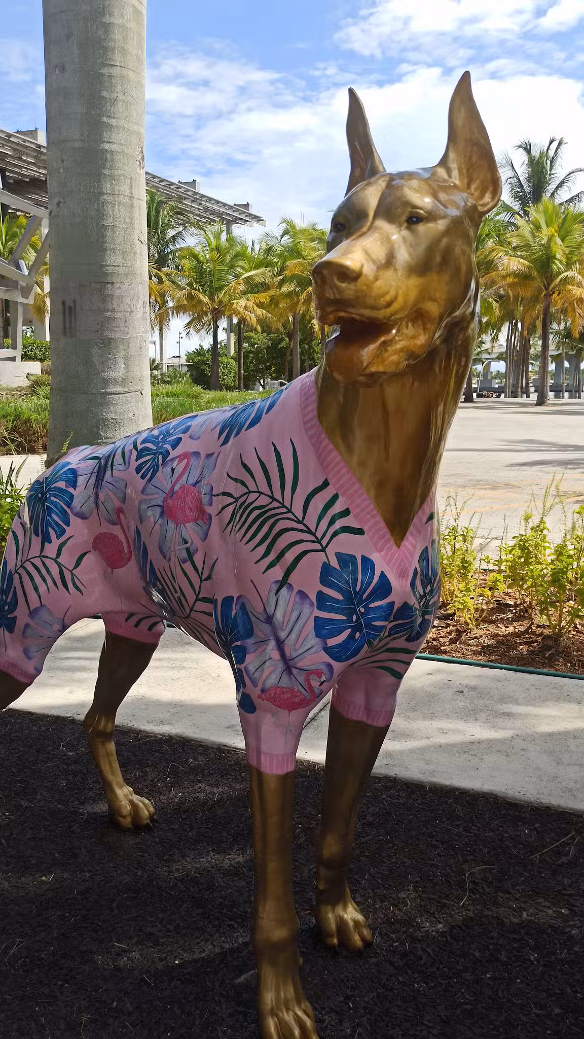 Dog Park - Miami, FL