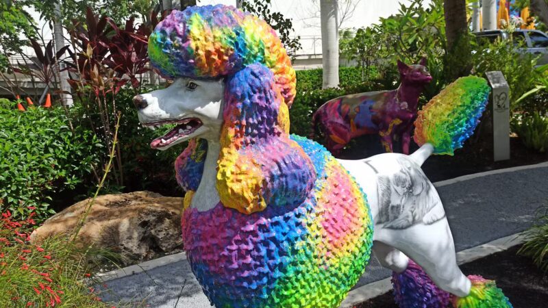 Dog Park - Miami, FL