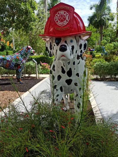 Dog Park - Miami, FL