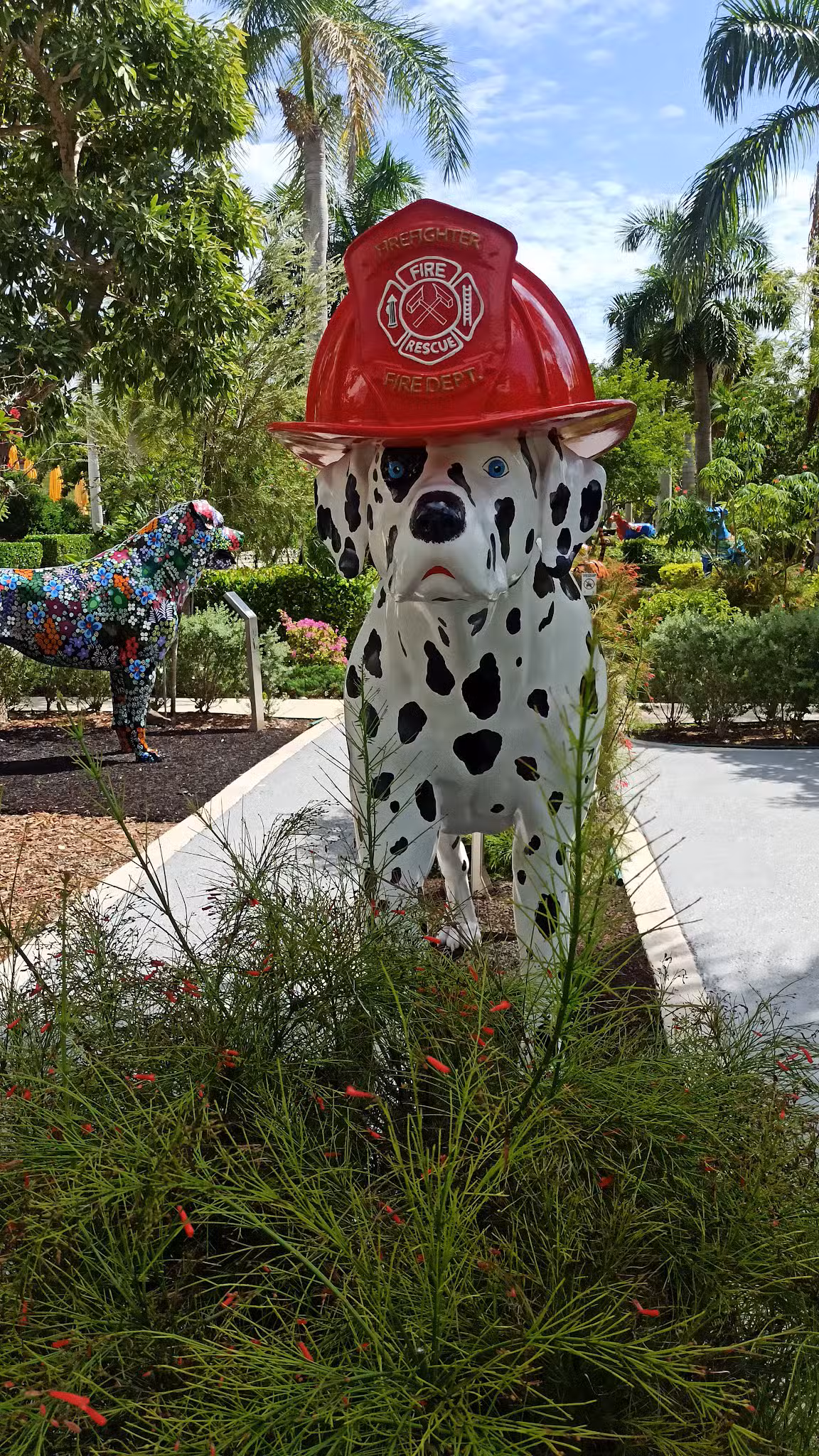 Dog Park - Miami, FL