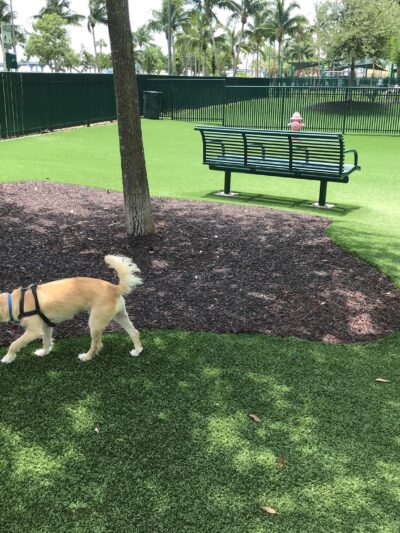 Dog Park - Margaret Pace Park - Miami, FL