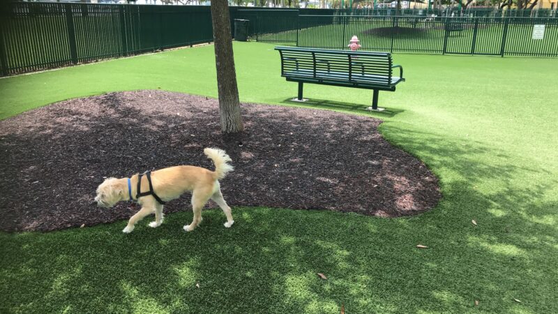 Dog Park - Margaret Pace Park - Miami, FL