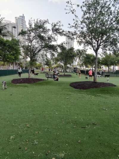 Dog Park - Margaret Pace Park - Miami, FL