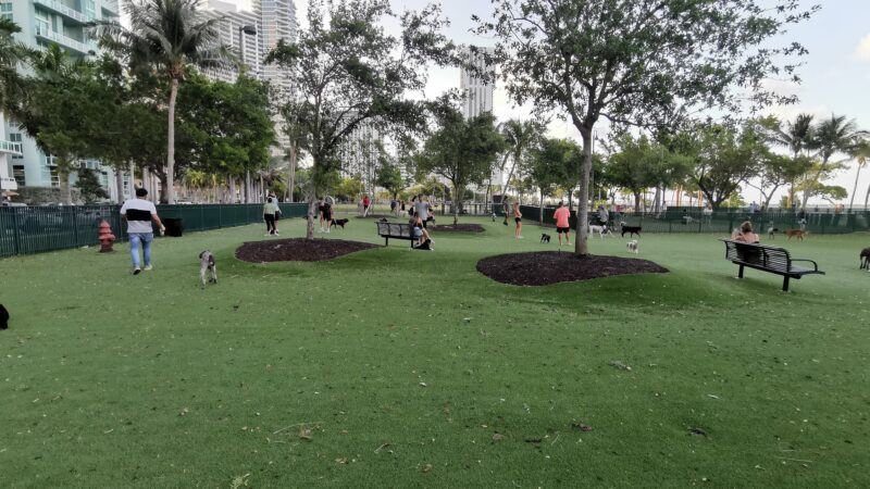Dog Park - Margaret Pace Park - Miami, FL