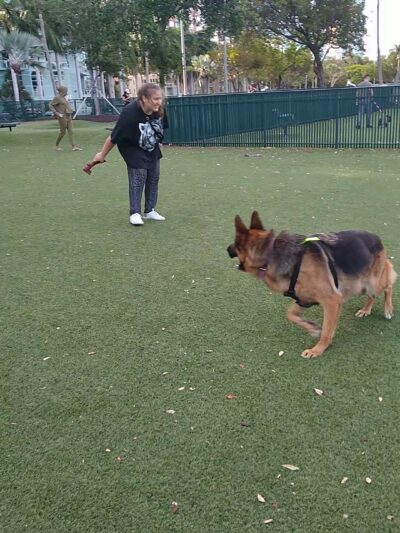 Dog Park - Margaret Pace Park - Miami, FL