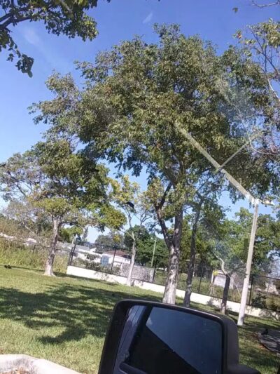 Fern Isle Park - Miami, FL