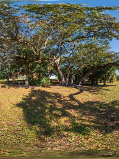 Ives Estates Dog Park - Miami, FL