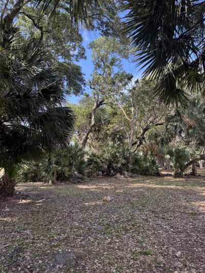 Ives Estates Dog Park - Miami, FL