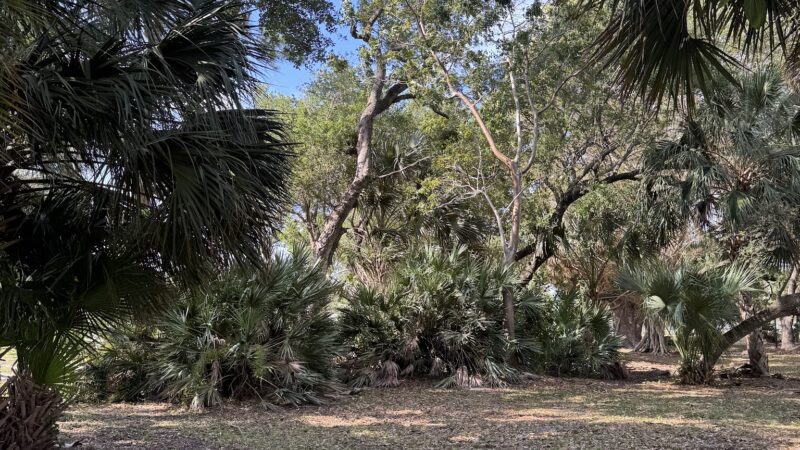 Ives Estates Dog Park - Miami, FL