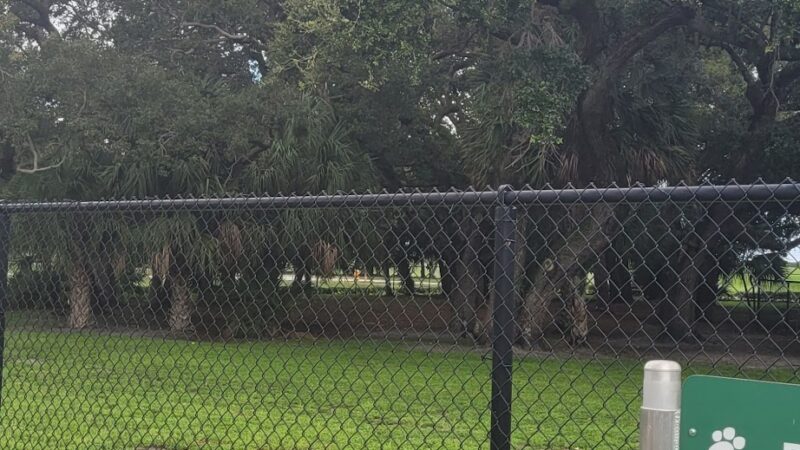 Ives Estates Dog Park - Miami, FL