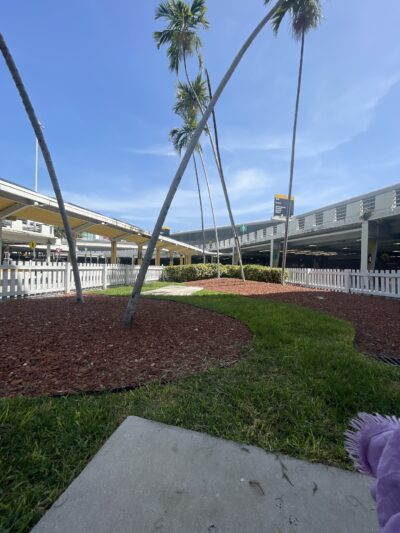 MIA Dog Park - Miami, FL