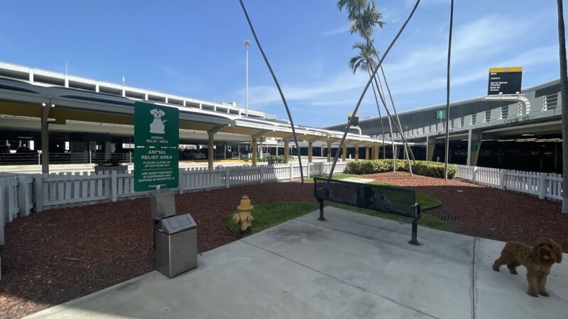 MIA Dog Park - Miami, FL
