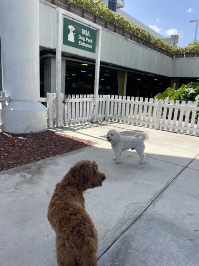 MIA Dog Park - Miami, FL