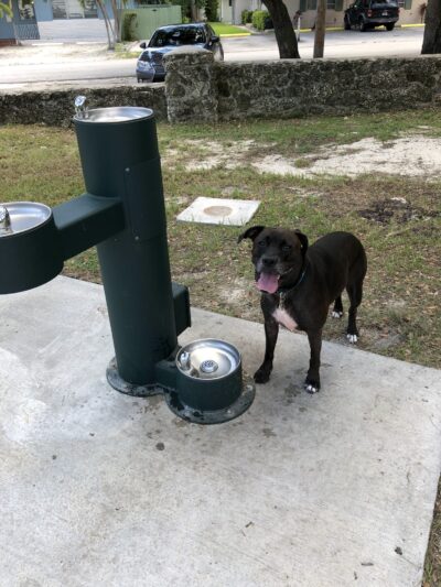 Military Trail Park - Miami, FL