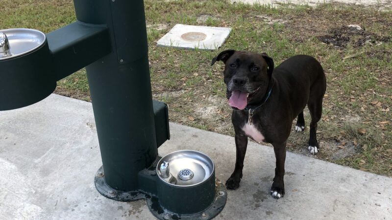 Military Trail Park - Miami, FL