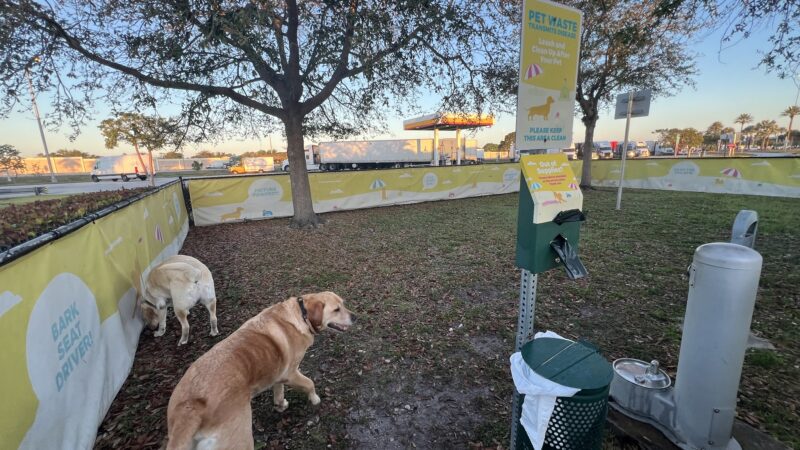 Pet Park - Miami, FL