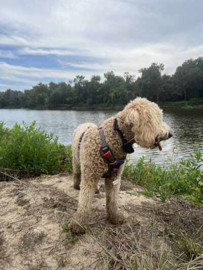 Riverview Park - Miami, OK