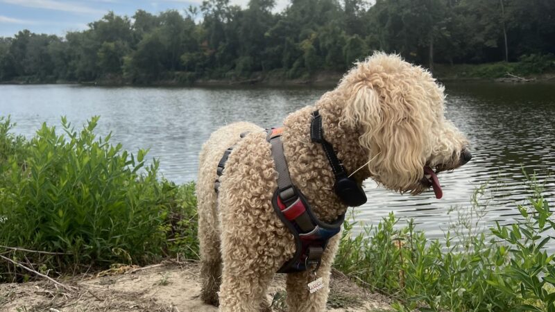 Riverview Park - Miami, OK