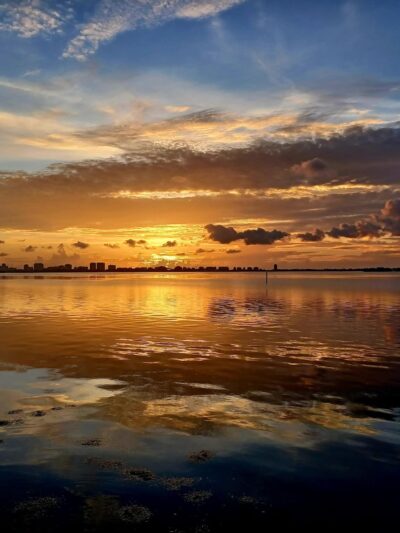 Miami Shores Village Bayfront Park - Miami Shores, FL